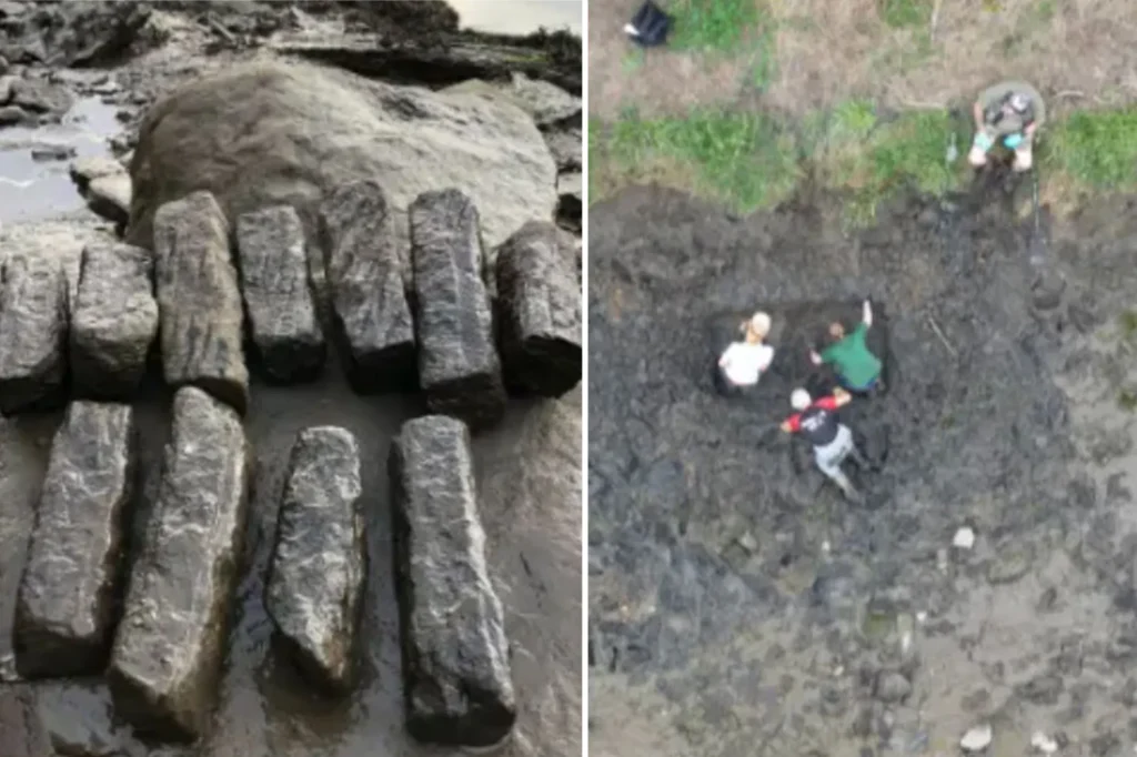 Roman industrial site reveals hundreds of tools, offering insight into ancient life