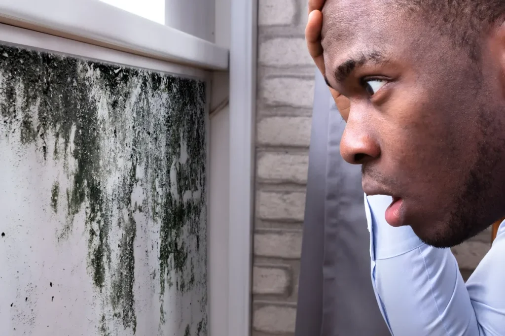 Homeowner's Shocking Discovery Under 1900s Wallpaper Renovation