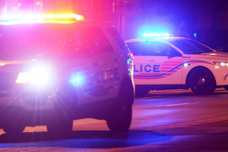 Dog Stabbed in Southeast DC; Police Search for Man