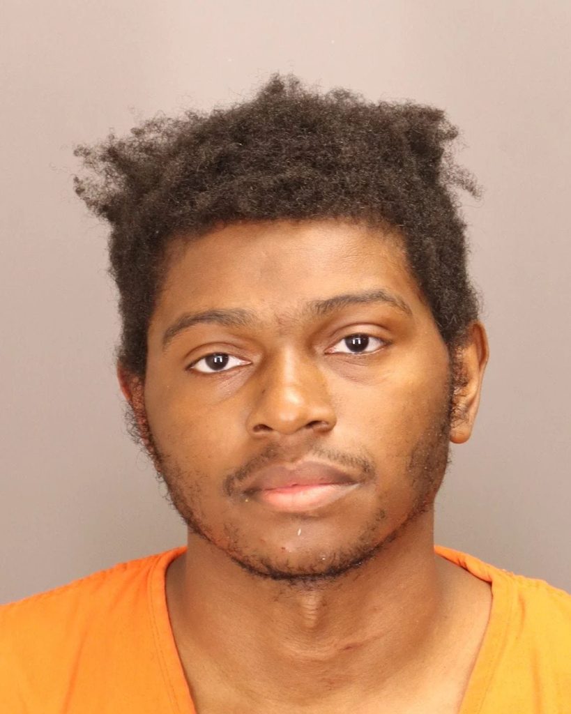 Man Charged in Orion Twp. Mall Carjacking Faces Life