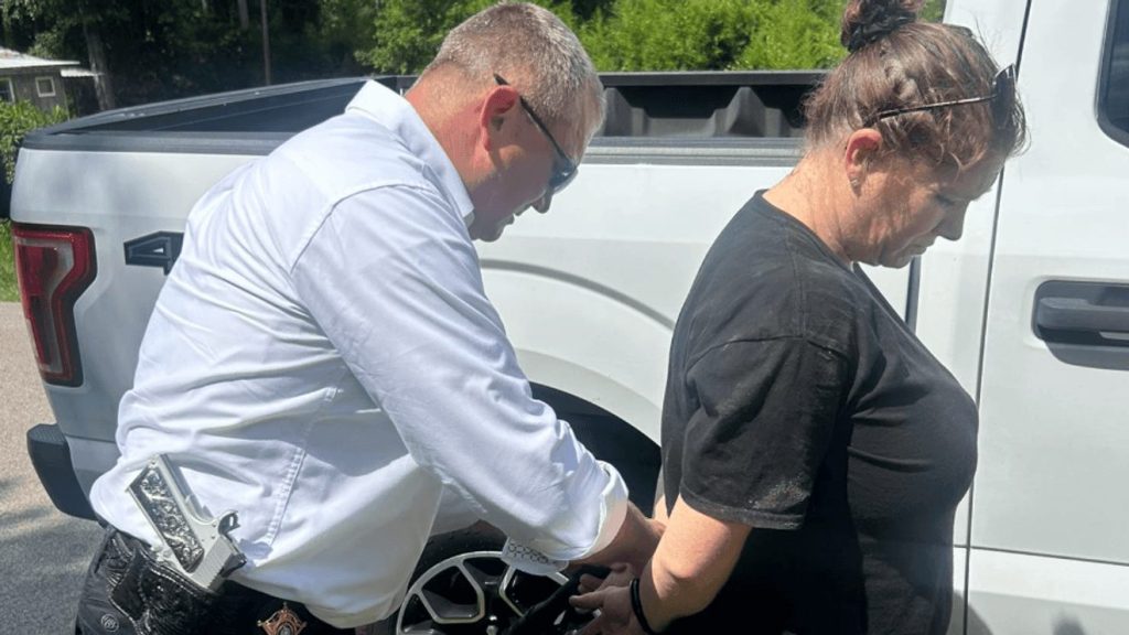Sheriff and Team Personally Arrest Burglary Suspect Melissa Clinton, 41