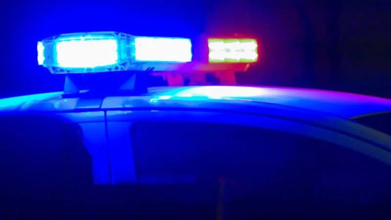 Three Suspects Arrested in Argentina for LA Burglary