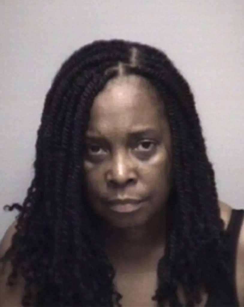 Texas treasurer thought she was 'in heaven' before DWI arrest: cops