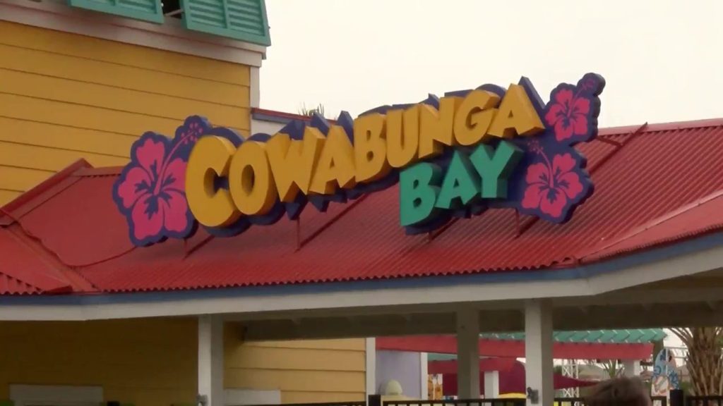 Carjacking Ends in Crash at Cowabunga Bay Water Park