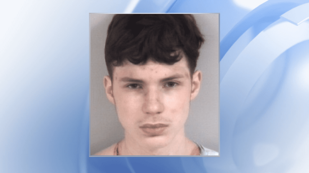 Teen Accused of Stabbing Mom After Frying Pan Attack