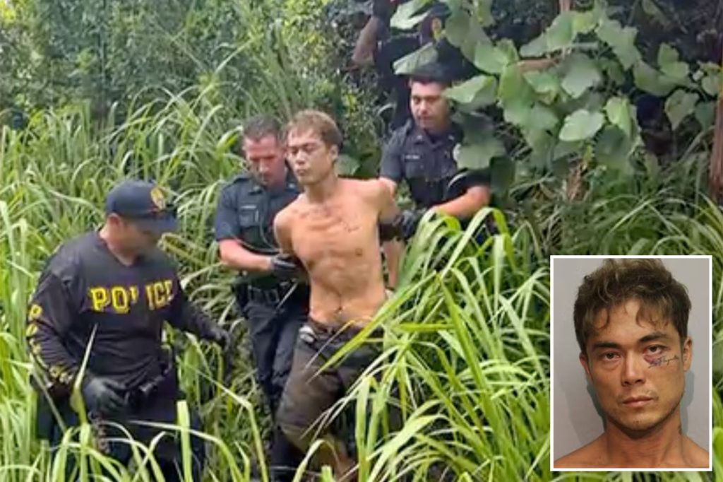 Hawaii Murder Suspect Arrested After Killing 3 People