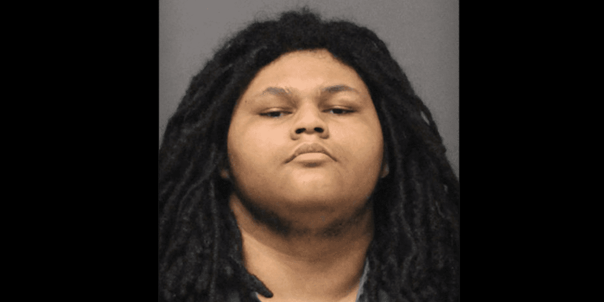 Louis Brown, 18, Charged After Allegedly Stabbing Grandmother in NJ Home