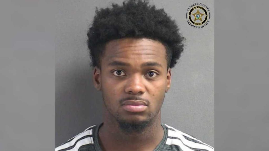 Damien Irvin, 25, Arrested for Assaulting Pregnant Woman in Palm Coast