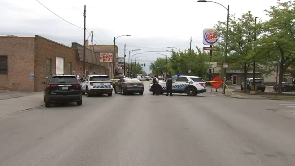 37-Year-Old Cyclist Critically Injured in Marquette Park Truck Hit-and-Run