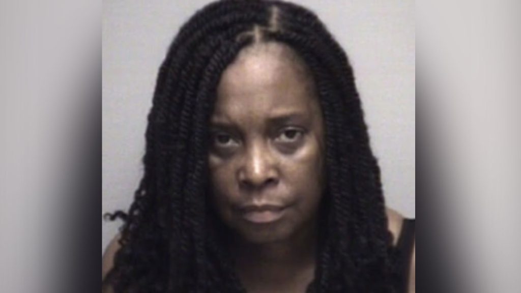 Democrat arrested for THIRD time after telling cops she was ‘in heaven’ when caught sleeping off glasses of wine in car
