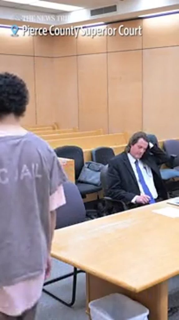 Man Gets 22 Years for Point Defiance Stabbing Attack