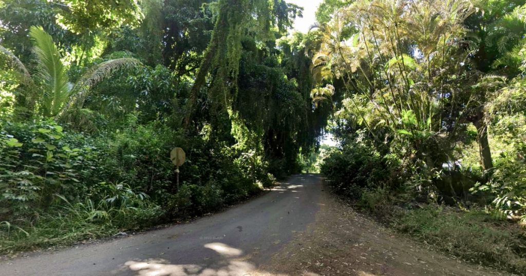 Triple Murder Suspect Arrested After Machete Threat