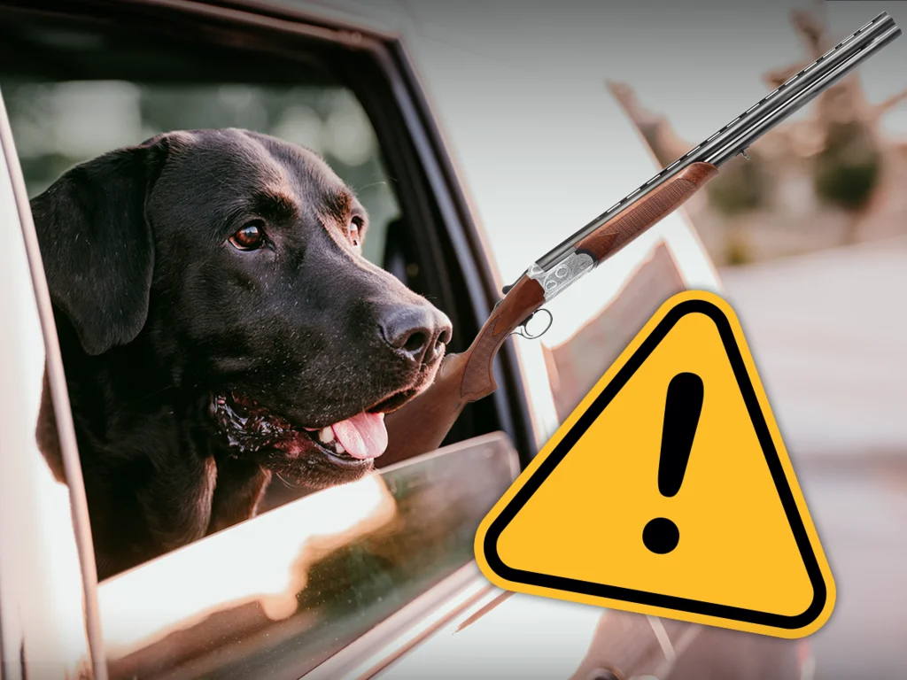Dog in Truck Fires Shotgun, Wounds Woman at Light