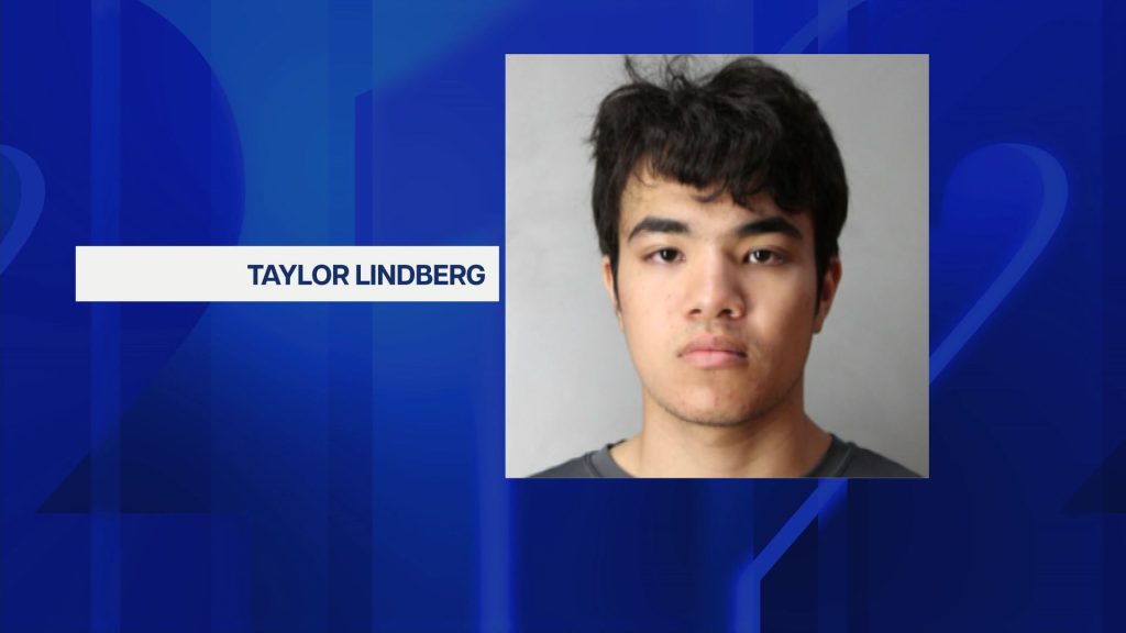 18-Year-Old Tutor Faces Multiple Child Abuse Charges in Port Washington Library