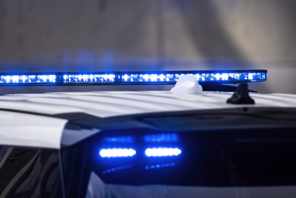 Man With Long Beard Sought in LaBagh Woods Assault
