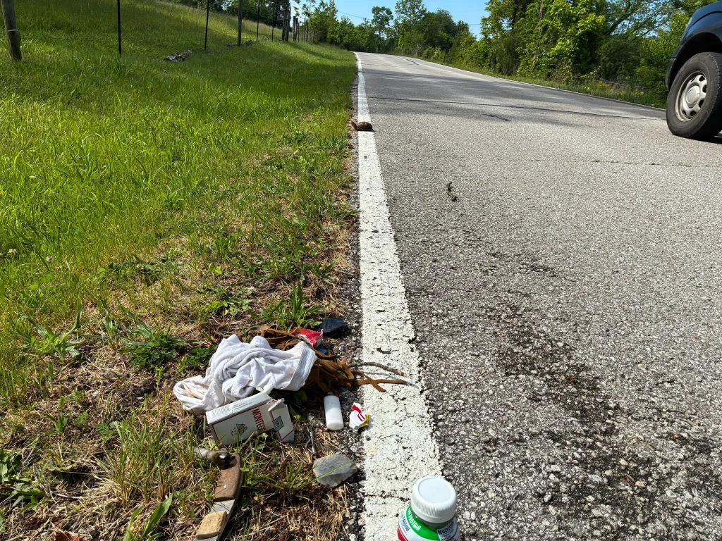 Indiana man dancing with rare turtle arrested for meth possession