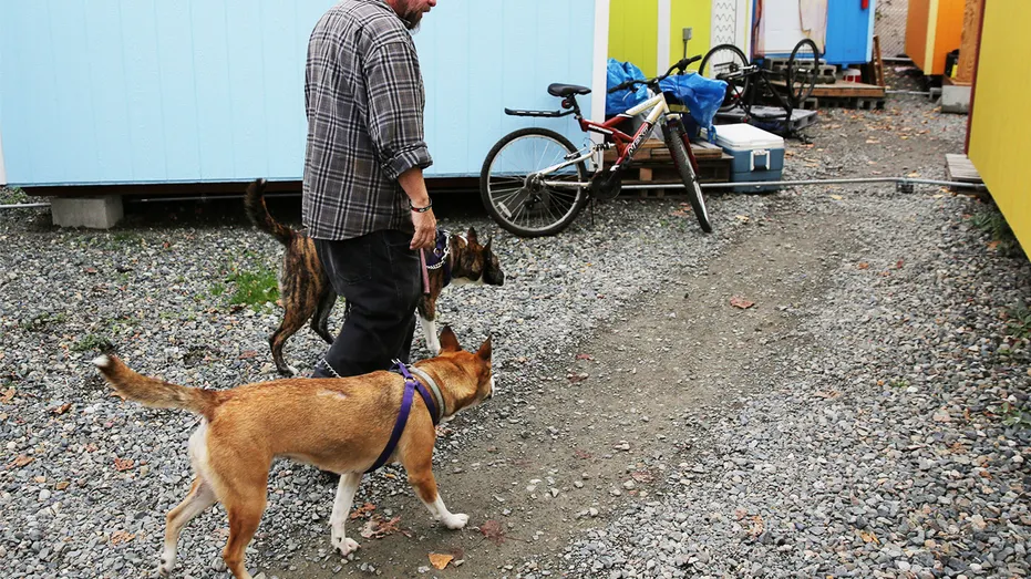 Seattle dog owners warned about pets overdosing in viral flyers