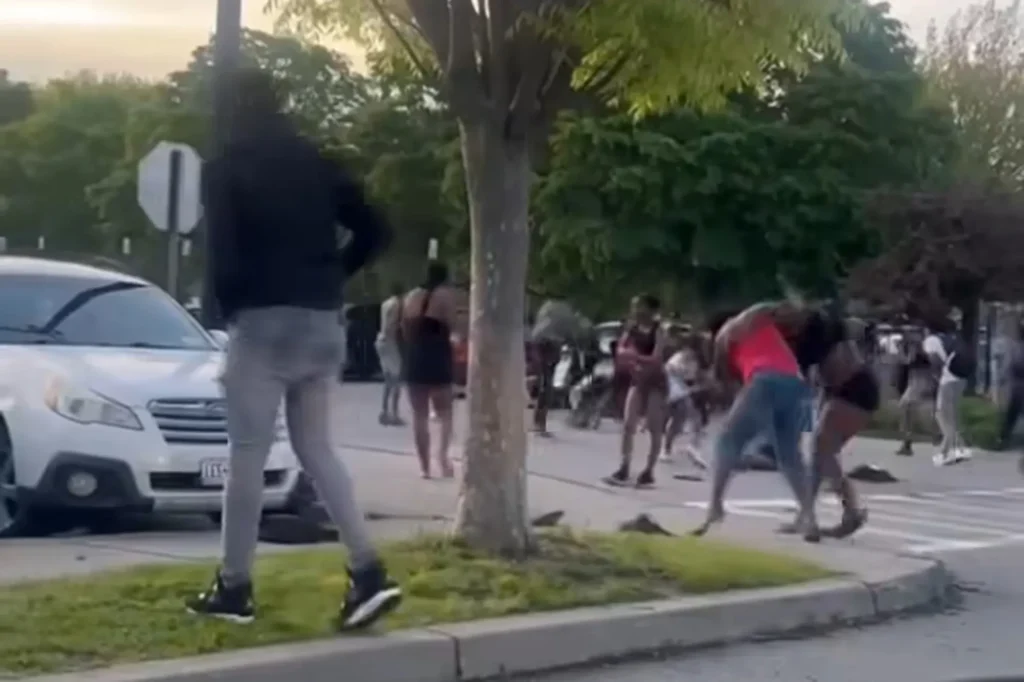 Chaos erupts as hundreds of teens brawl in NY park
