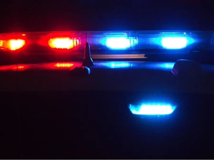 Woman, 19, Charged In Fatal Hit-And-Run