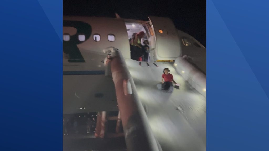 Panic on Runway: Frontier Flight Hits Person in Denver