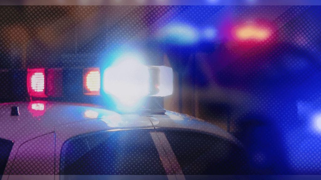 Carjacking Suspect Crashes at Water Park