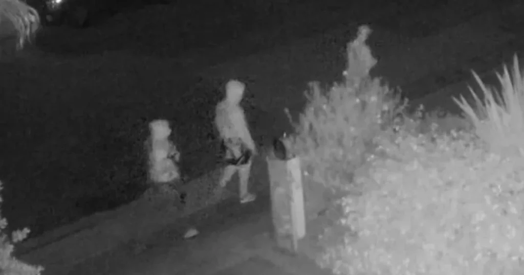 Tech Exec's Kidnapping Caught on Camera
