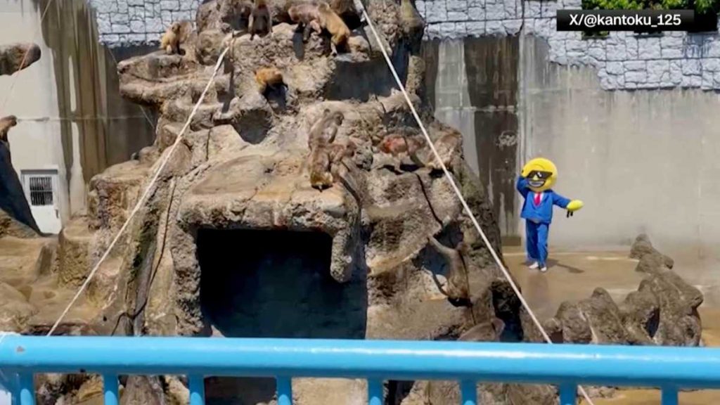 Americans detained after bizarre stunt at Japanese zoo