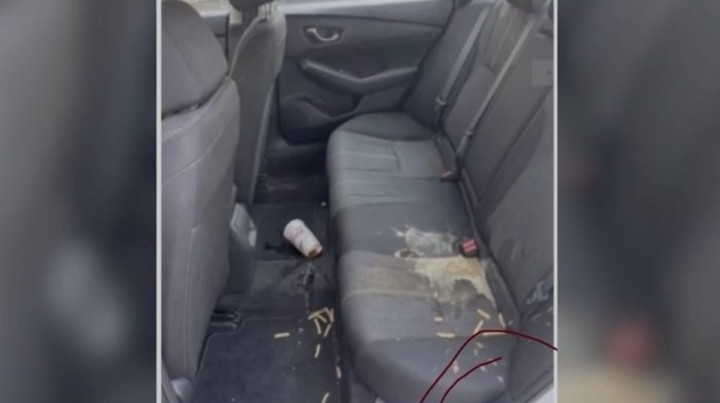 Lyft AI Altered Image Leads to False $75 Charge
