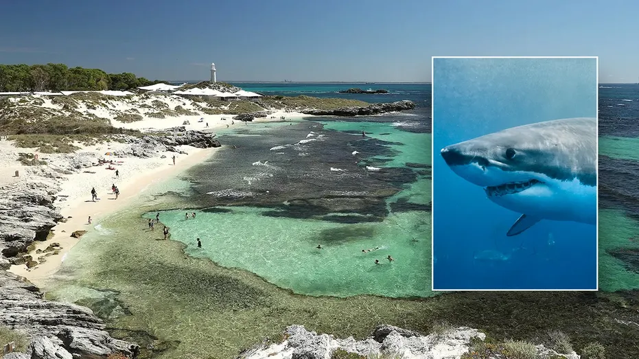 Man dies in 13-foot great white shark attack near island resort