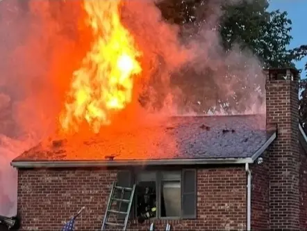 Dog Dies in Joppa House Fire