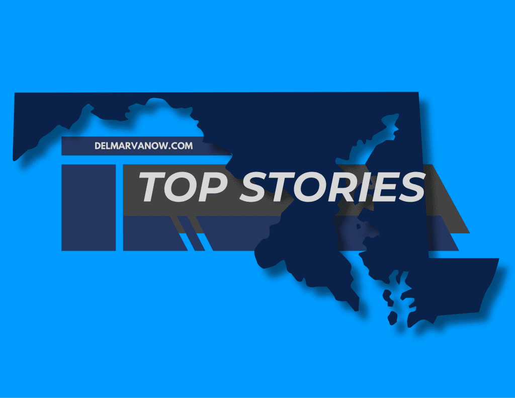 Snow Hill woman sentenced for animal cruelty with 66 animals seized