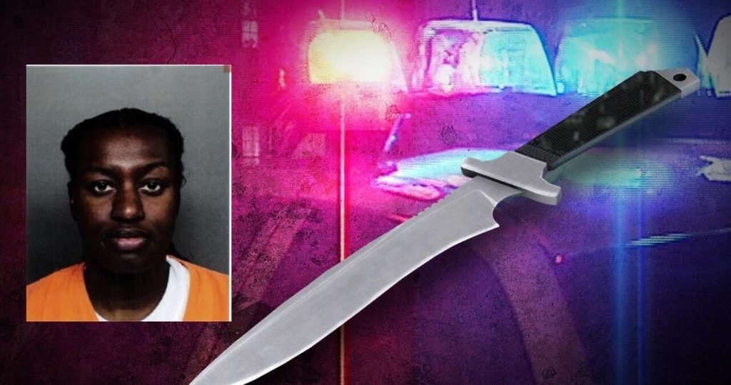 Woman Turns Herself In After Stabbing Sister