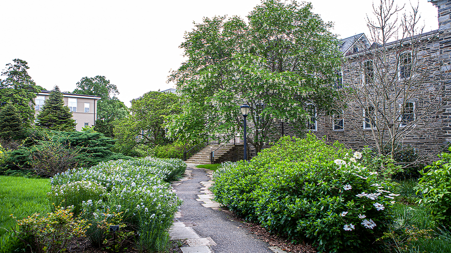 College drops prof's name from hall after grave dig scandal