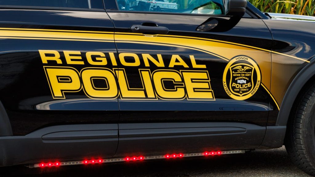 Man Denied Bail After Shooting at Neighbor Over Property