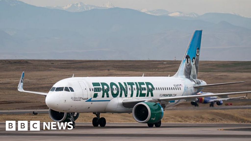 Denver Airport Incident: Trespasser Killed by Plane, Engine Catches Fire