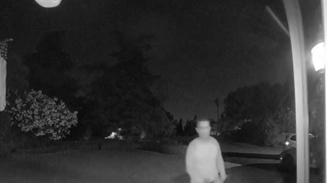 Parolee's knife-wielding home invasion at city attorney's house