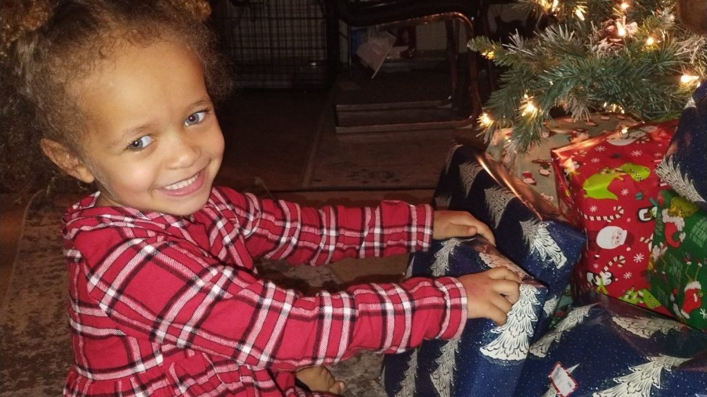 Father Sentenced After Pit Bulls Fatally Maul Daughter in Ohio Home