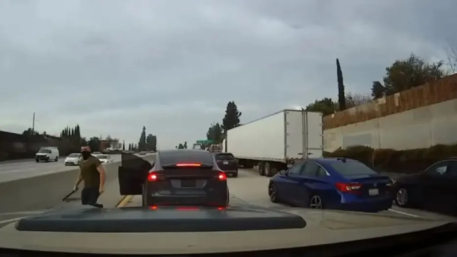 Tesla Road Rage Driver Gets 7 Years for Hawaii Attack