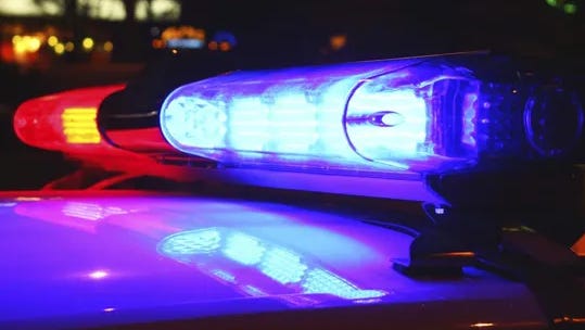 Convicted Felon Arrested for Shooting French Bulldog in Rochester