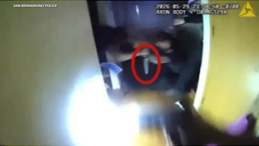 Armed Man Wanted for Child Sexual Assault Shot by Police