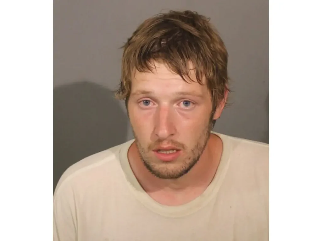 Danbury Crash: Driver Arrested After Toppling Utility Poles