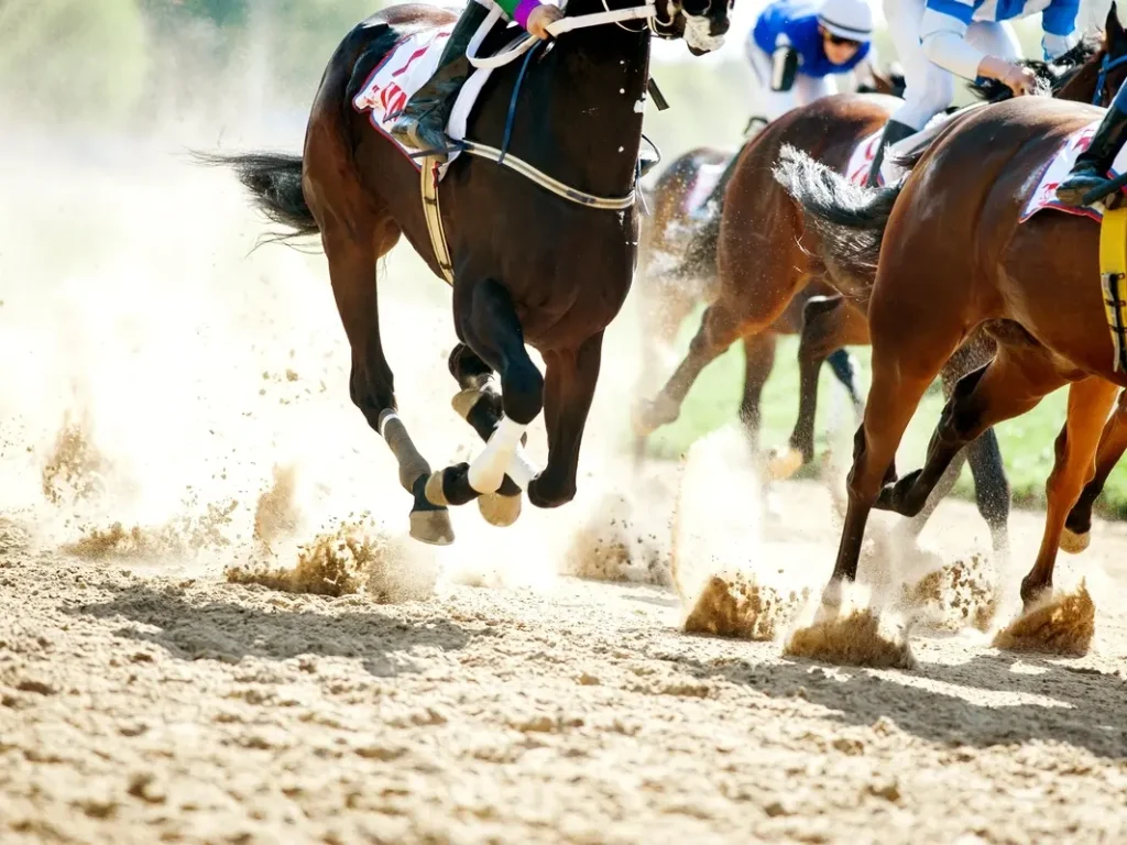 Horse Dies Moments After Laurel Park's Opening Race