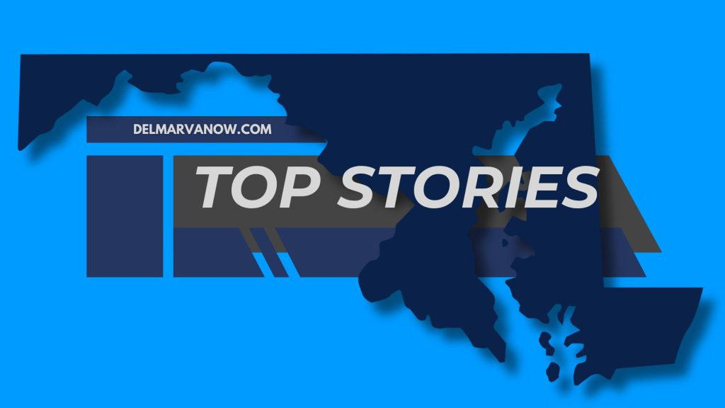 Snow Hill Woman's 3.5-Year Sentence for Cruelty to 66 Animals