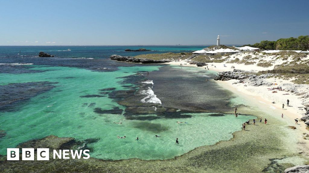 First Fatal Shark Attack in Western Australia Since 2022 Near Rottnest Island