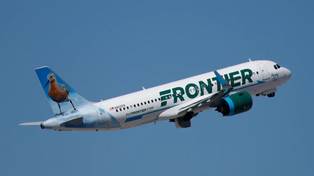 Pedestrian Hit By Plane During Takeoff: Engine Fire Erupts