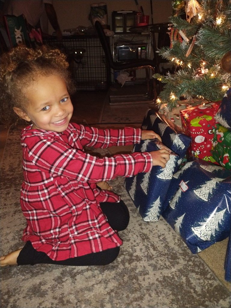 Dad's dogs kill daughter: 5-year sentence sought