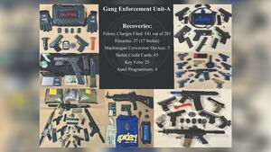 10 Teens Accused of Vehicle Break-Ins, Stealing Guns Formally Charged