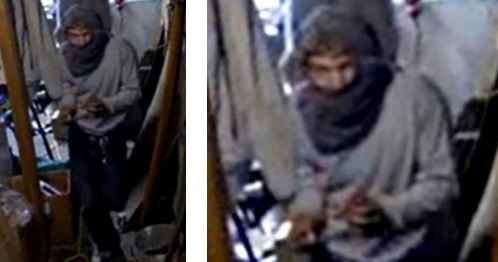 Bountiful Police Search for Residential Burglary Suspect