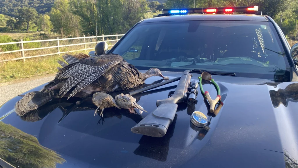 Poaching arrest in San Luis Obispo County: Dead birds found