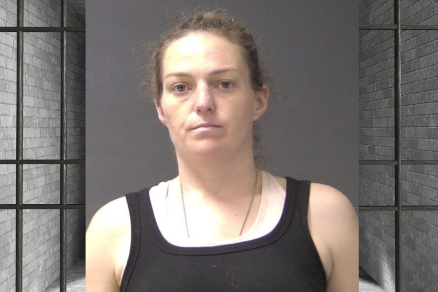 Surveillance Video Leads to Arrest of Lauren Fuller, 36, in Stabbing Case